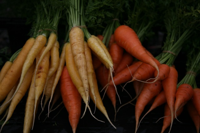Carrot photo